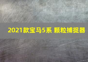 2021款宝马5系 颗粒捕捉器